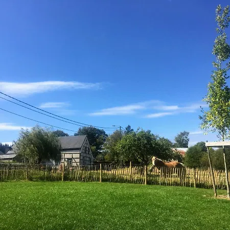 In Ardennes - La Maison Aux Moineaux - Fays-famenne *